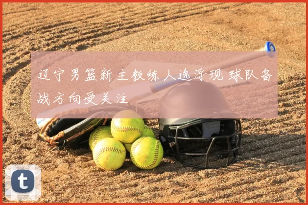 辽宁男篮新主教练人选浮现 球队备战方向受关注