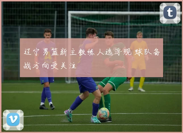 辽宁男篮新主教练人选浮现 球队备战方向受关注