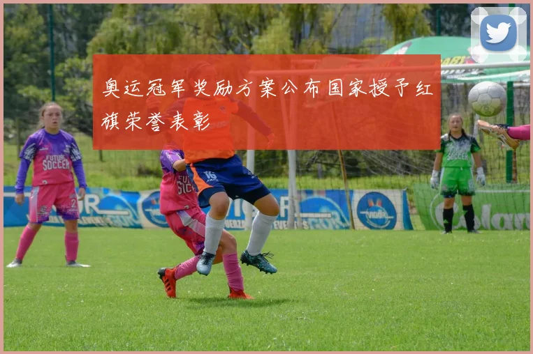奥运冠军奖励方案公布国家授予红旗荣誉表彰